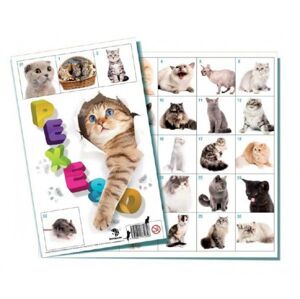 Mačky spoločenská hra 32 obrázkových dvojíc